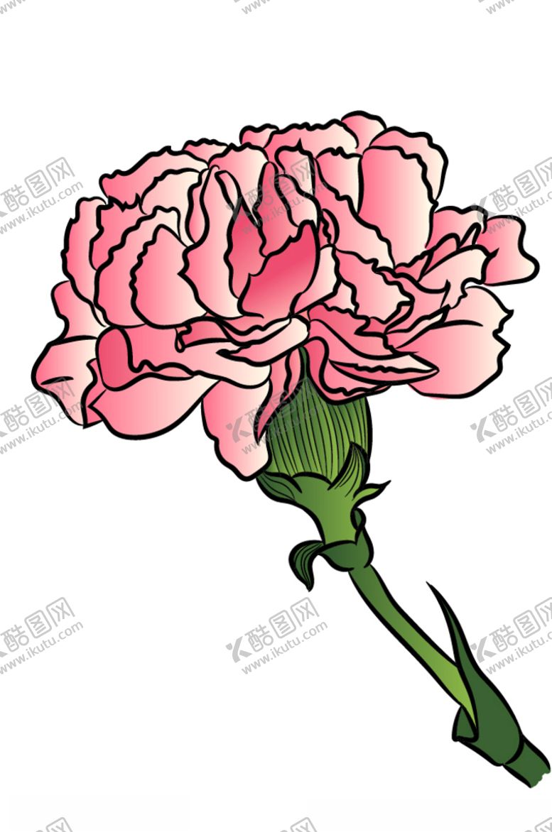 编号：70073409290517446307【酷图网】源文件下载-康乃馨