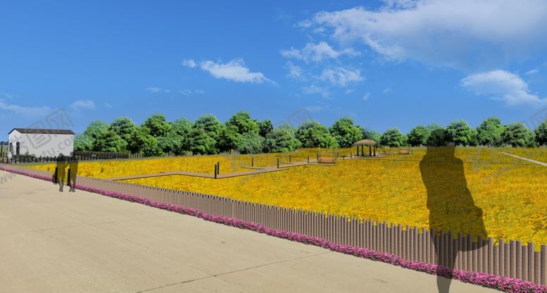 编号：13694809240947032668【酷图网】源文件下载-乡村景观菊花园