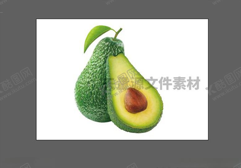 编号：18105305120456241824【酷图网】源文件下载-牛油果矢量