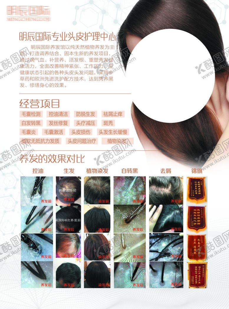 编号：67198307011105391466【酷图网】源文件下载-养发宣传单
