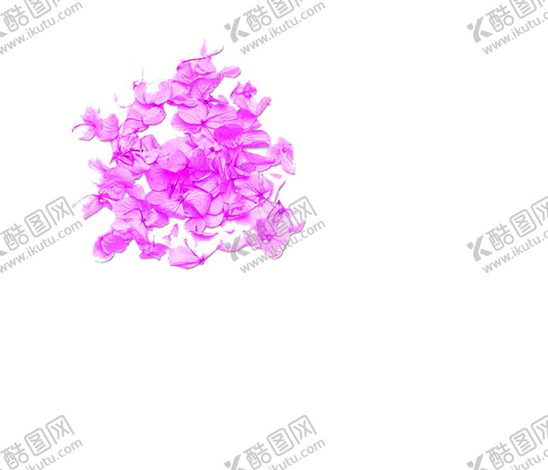 编号：11502406282104568318【酷图网】源文件下载-花素材