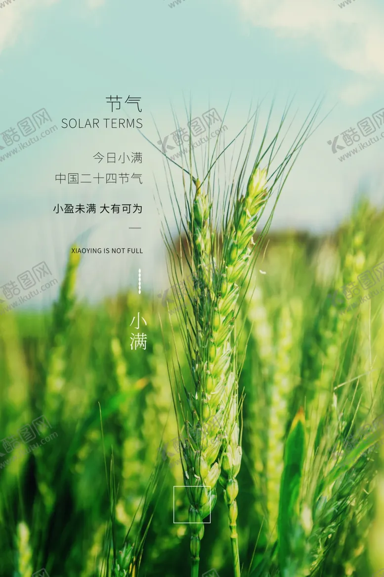编号：63358706261313131084【酷图网】源文件下载-小满节气海报