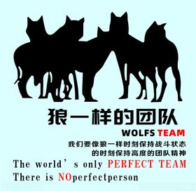 打造鹰一样的团队