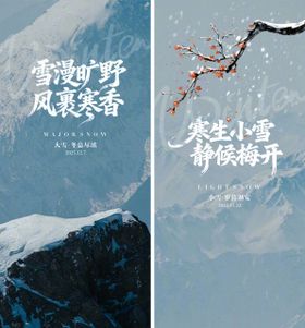 小雪大雪节气系列海报