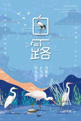 白露海报图片