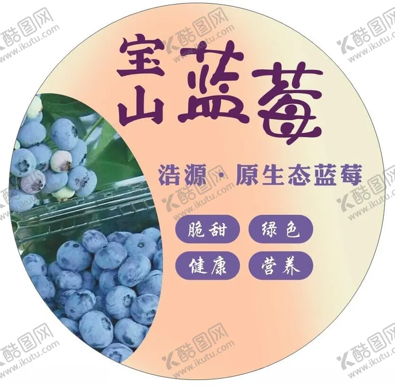 编号：34854102041446033872【酷图网】源文件下载-蓝莓