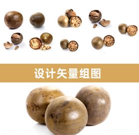 罗汉果矢量