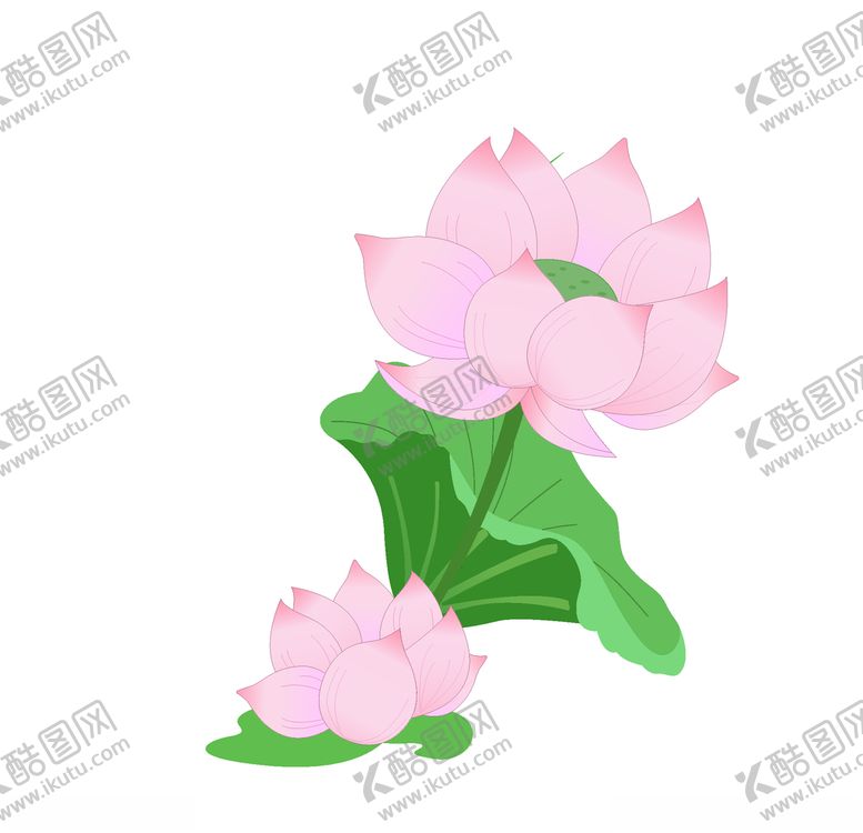 编号：89157604200147444663【酷图网】源文件下载-粉色荷花插画