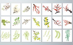 手绘植物枝叶图案集合