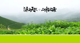 茶文化道传统韵