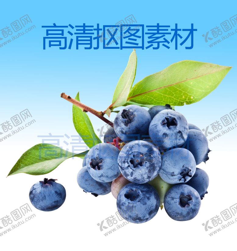 编号：18141610241759533354【酷图网】源文件下载-蓝莓