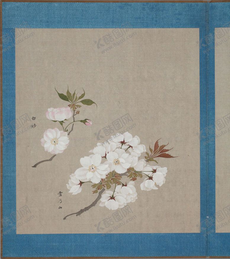 编号：60500003271855549862【酷图网】源文件下载-樱花