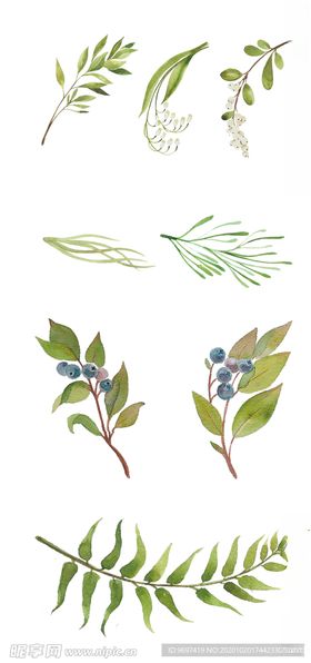 手绘树叶花草