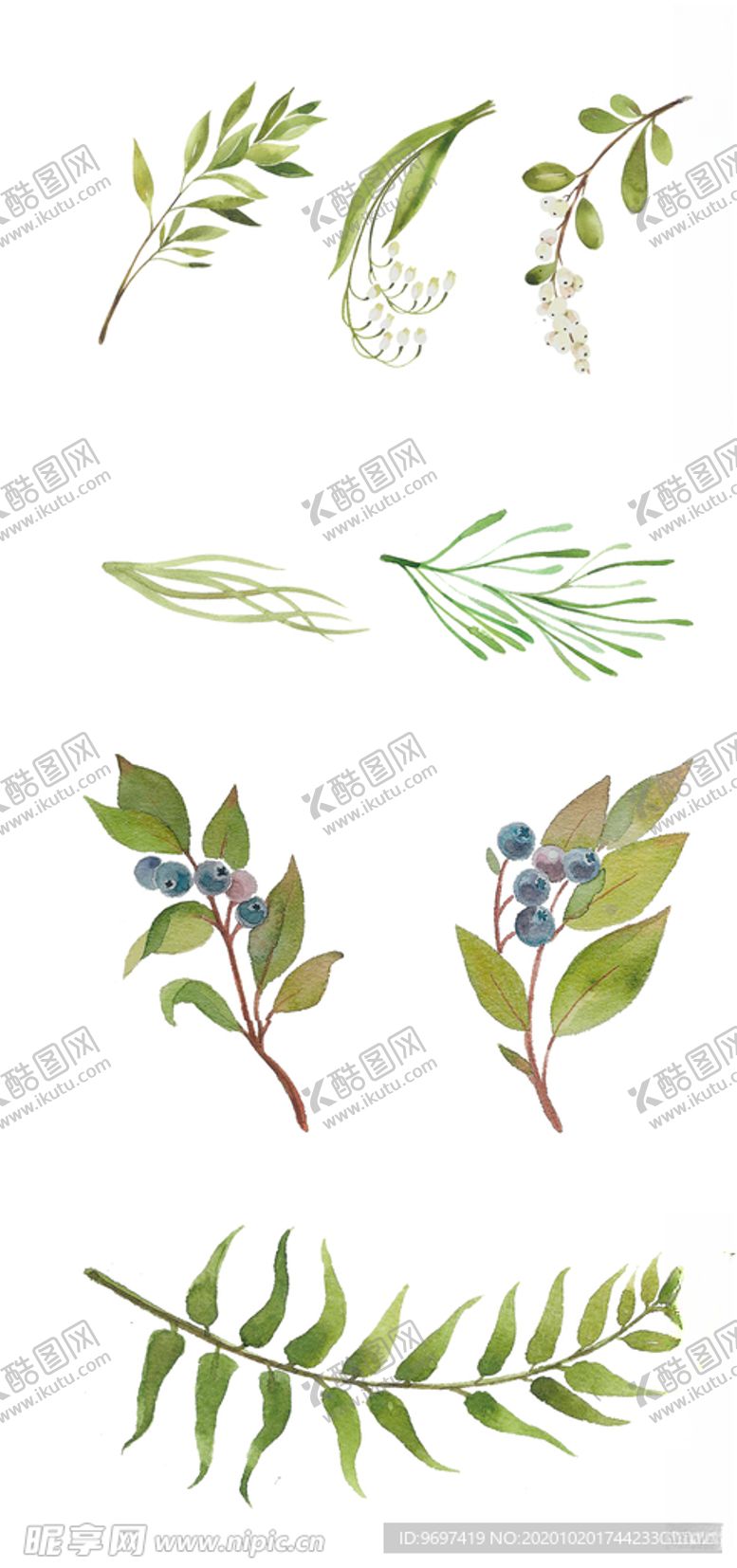 编号：67911904261855473548【酷图网】源文件下载-手绘树叶花草