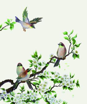 花鸟