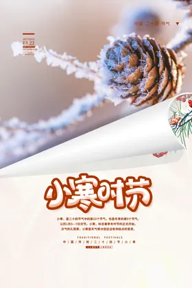 小寒海报节气宣传节日插画