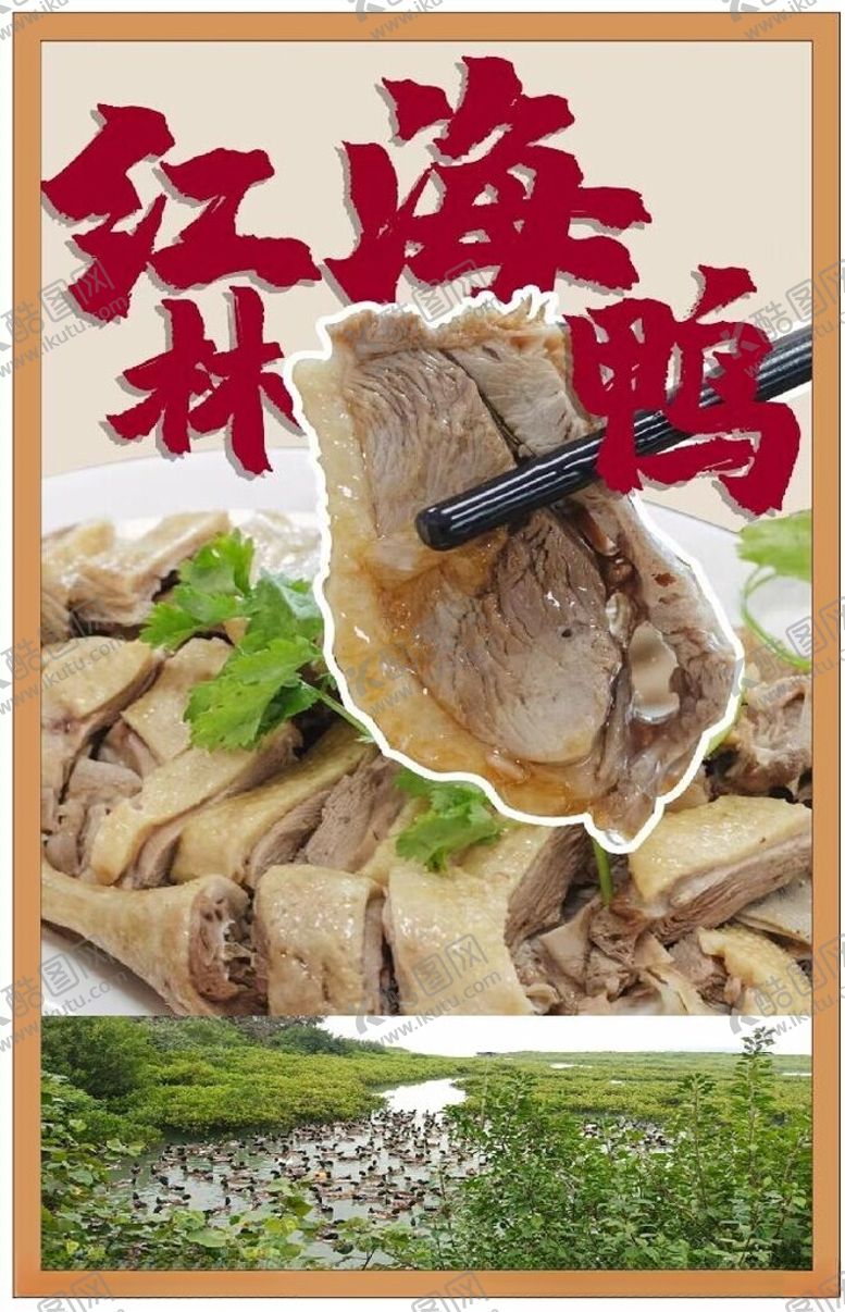 编号：44453201170619531346【酷图网】源文件下载-红林海鸭
