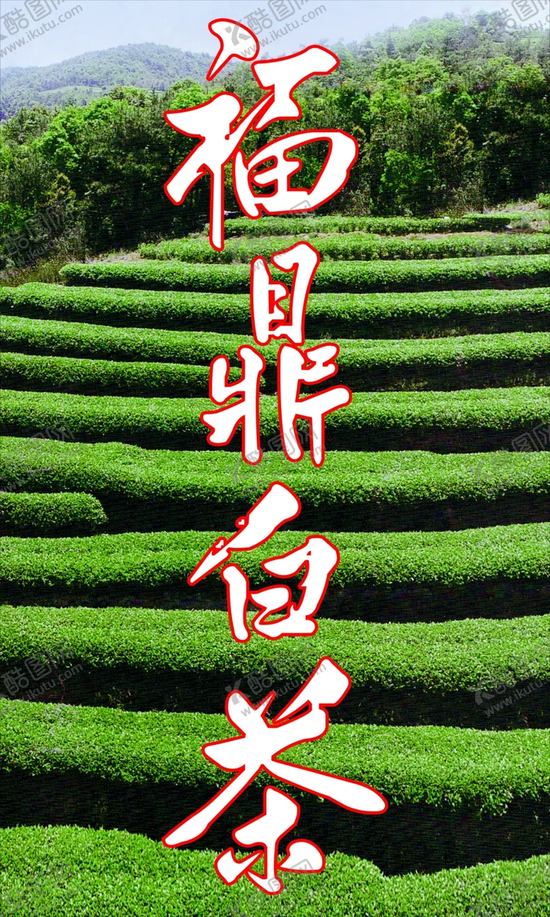 编号：26360901291135228100【酷图网】源文件下载-茶叶海报