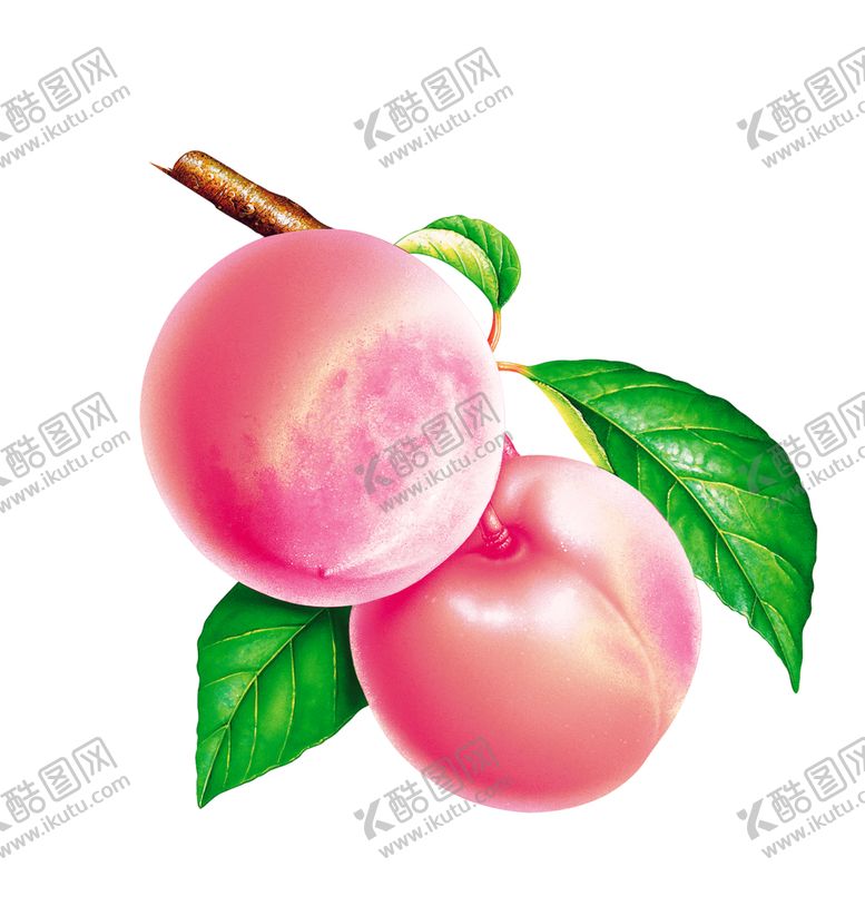 编号：89834810190605225465【酷图网】源文件下载-水果