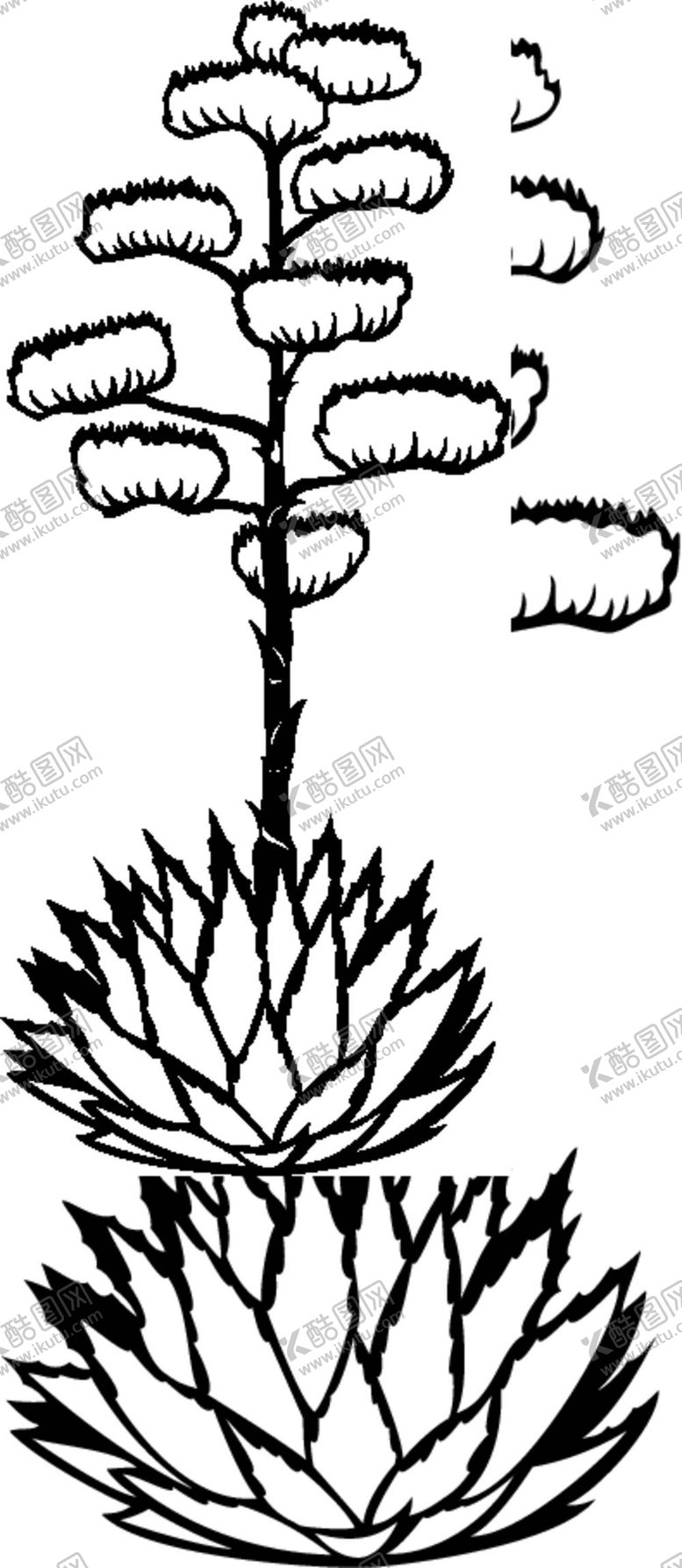 编号：35049210040838098473【酷图网】源文件下载-黑白手绘植物    