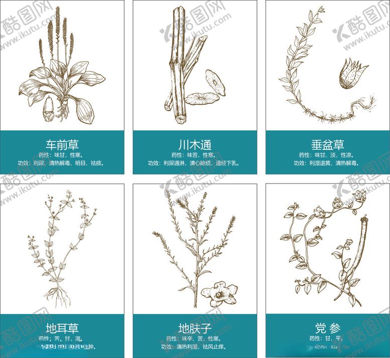 药材中草药矢量素保健图