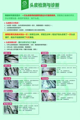 头皮护理