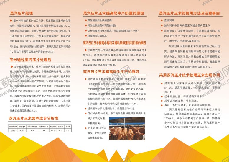 编号：67055605110503275489【酷图网】源文件下载-压片玉米