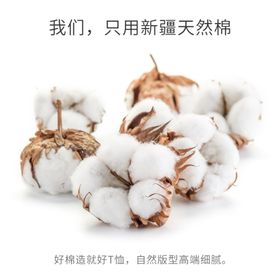 棉花主图特写实拍