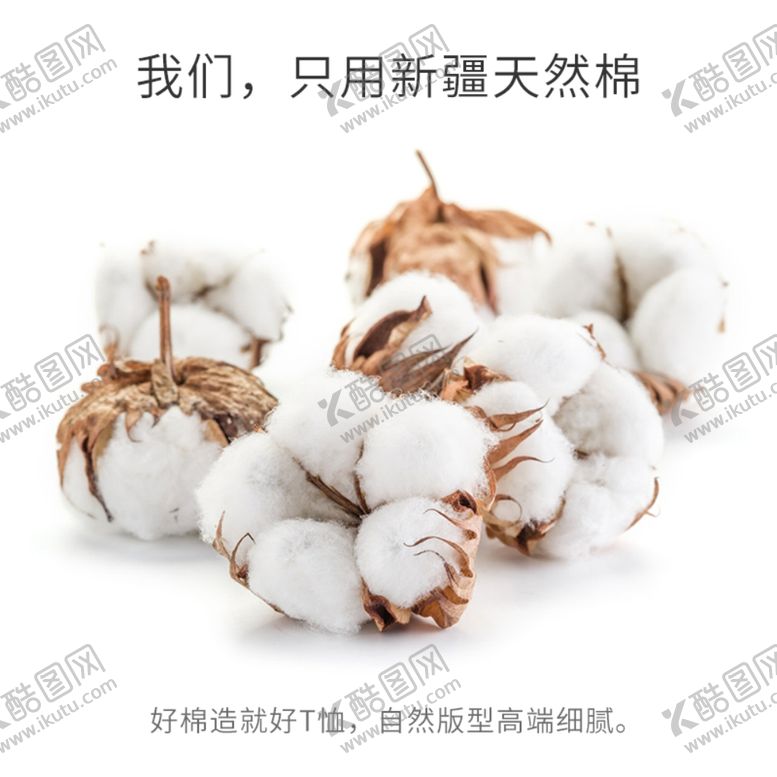 编号：69661509281038349837【酷图网】源文件下载-棉花主图特写实拍