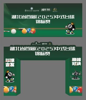 台球比赛桌球