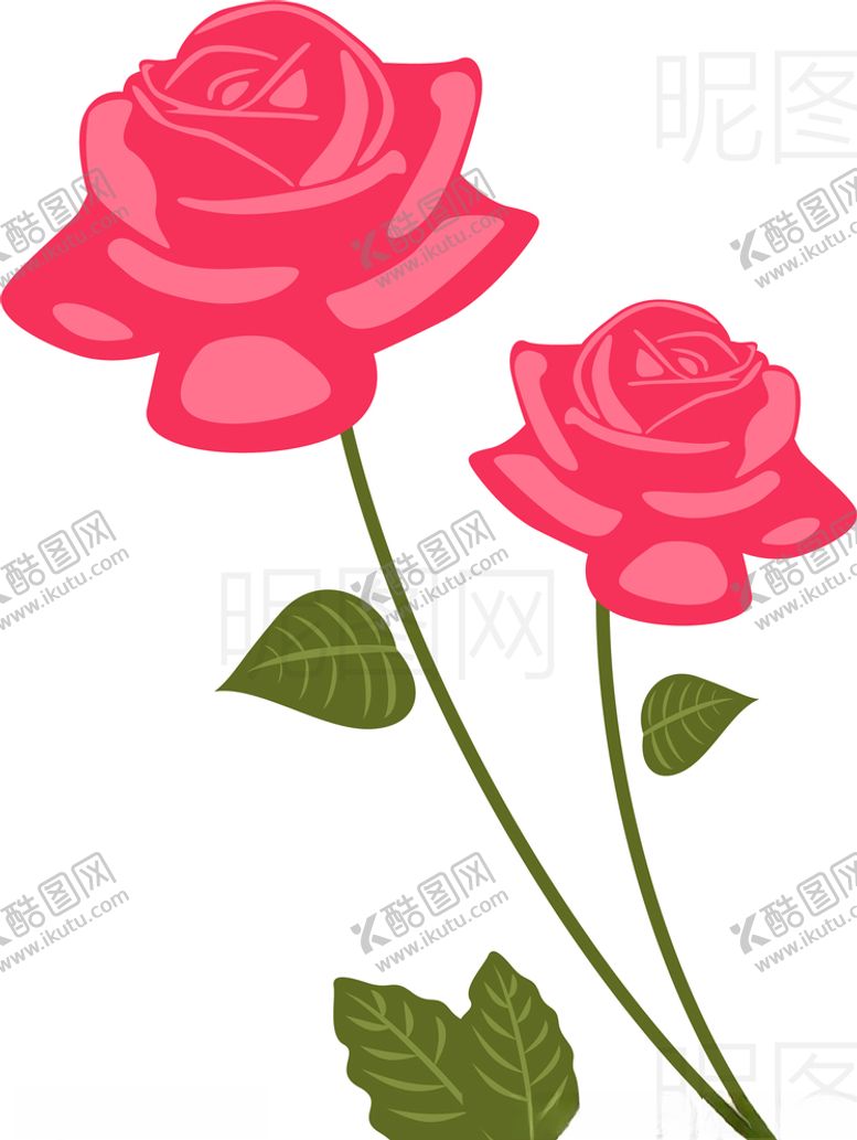 编号：19837405030903527359【酷图网】源文件下载-玫瑰花