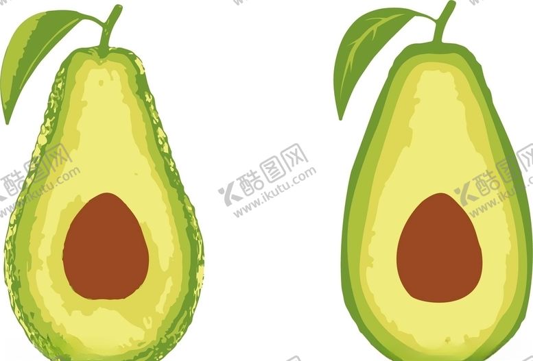 编号：41862309220040116458【酷图网】源文件下载-矢量牛油果