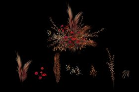 插画素材叶子简约风格卡通植物