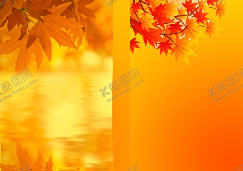 编号：50190810140339354130【酷图网】源文件下载-枫叶书籍封面回忆录画册背景