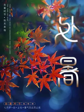 处暑朋友圈设计稿微信图单页