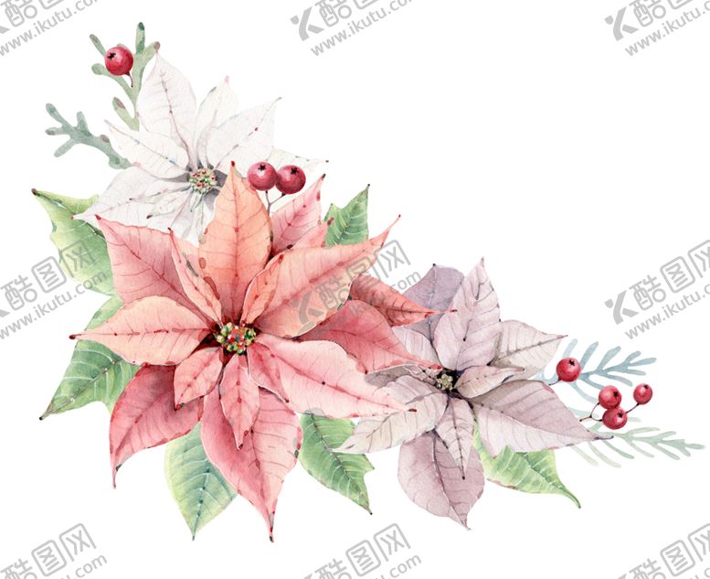 编号：80893209241059479493【酷图网】源文件下载-水彩植物