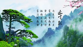迎客松