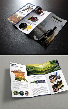 企业公司介绍宣传三折页图片
