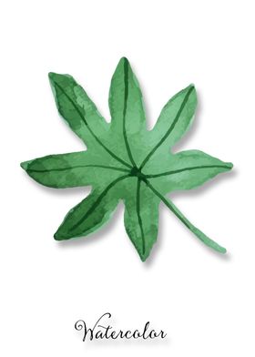 植物装饰画图片