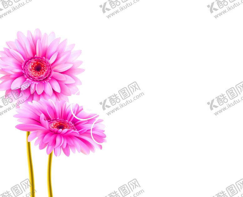 编号：50882609220252492751【酷图网】源文件下载-花素材