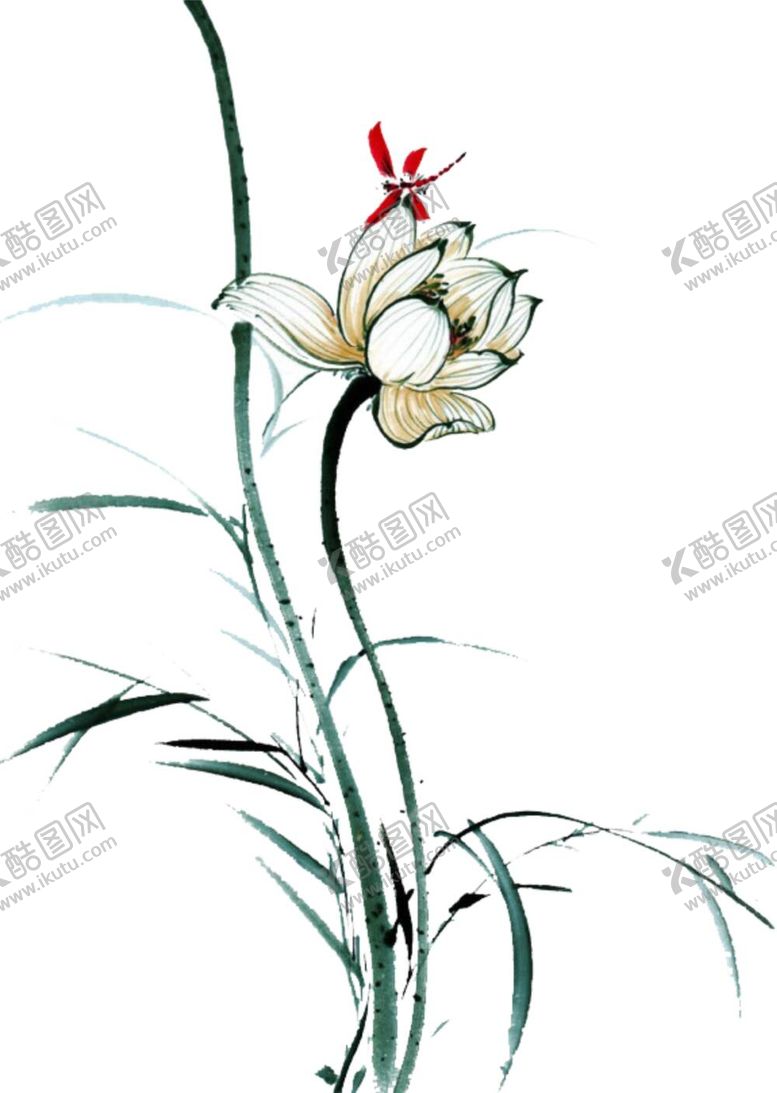 编号：15645911231049565859【酷图网】源文件下载-花  适量图