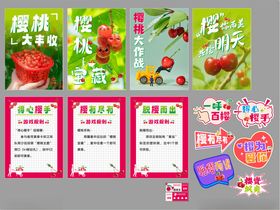 樱桃节