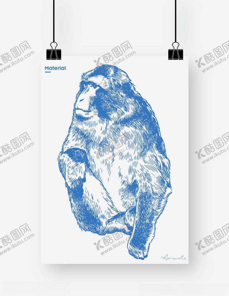 编号：22057910031053482722【酷图网】源文件下载-猴子