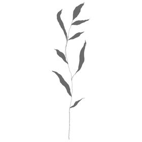 手绘花藤花纹语草植物彩环