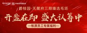 地产认筹海报横版