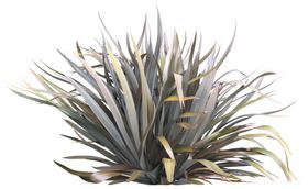 免扣花卉植物素材