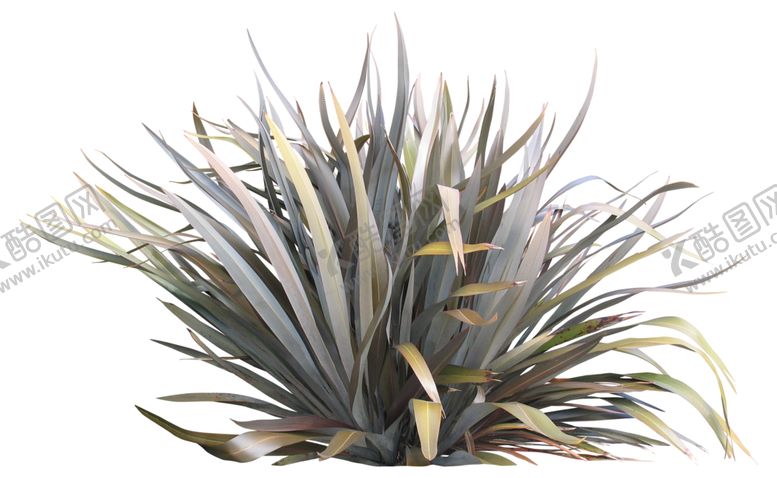 编号：38576410291025062309【酷图网】源文件下载-免扣花卉植物素材