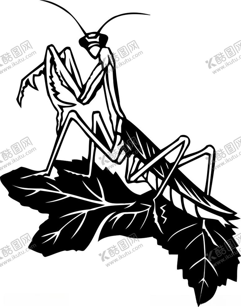 编号：56376902160558378200【酷图网】源文件下载-手绘卡通昆虫