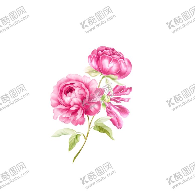 编号：81204507070234113743【酷图网】源文件下载-高清花