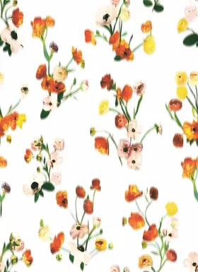水彩花手绘扫描大牌